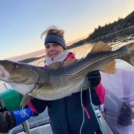 „draumen“ In Norwegen Feriehus
